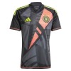 Maillot de Gardien Allemagne Domicile Euro 2024 Pour Homme